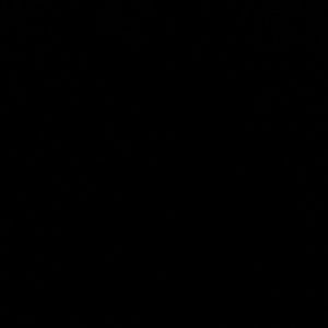 Meet your Posher, Yonkwi